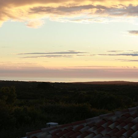 Villa Carolus-Luxurious Istrian Villa Barat  Dış mekan fotoğraf