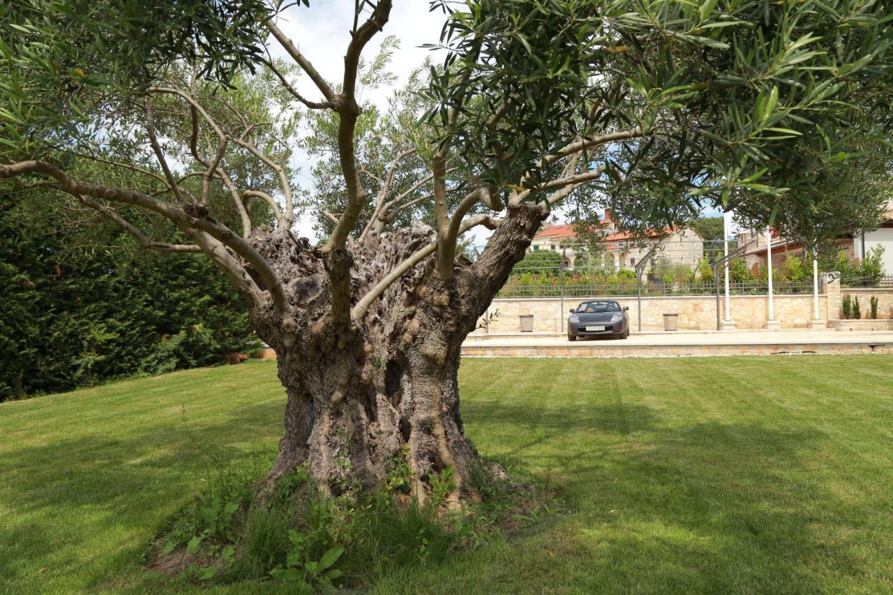 Villa Carolus-Luxurious Istrian Villa Barat  Dış mekan fotoğraf